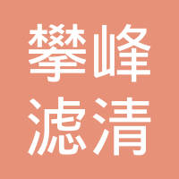 南充市攀峰滤清器有限公司