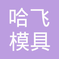 哈尔滨哈飞模具股份有限公司