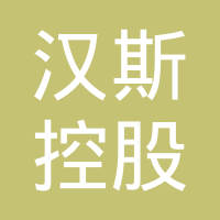 汉斯控股有限公司