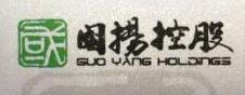 重庆国扬控股有限公司