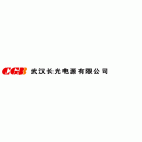 武汉长光电源有限公司