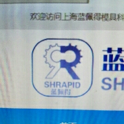 上海蓝佩得汽车部件有限公司