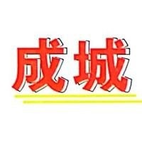河北成城汽车电机制造有限公司