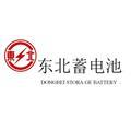 沈阳东北蓄电池有限公司