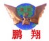 湖南鹏翔星通汽车有限公司