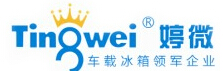 宁波婷微电子科技有限公司
