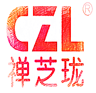 佛山市南海禅芝珑汽车电器有限公司