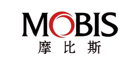 江苏摩比斯汽车零部件有限公司