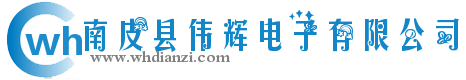 南皮县伟辉电子有限公司
