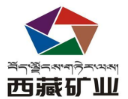 西藏矿业发展股份有限公司