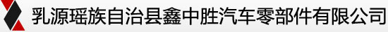 广东鑫中胜汽车零部件有限公司