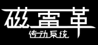 上海磁雷革传动系统有限公司