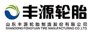 山东丰源轮胎制造股份有限公司