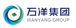 济源市万洋绿色能源有限公司