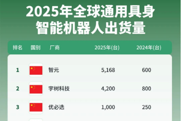 2025年全球具身智能机器人出货量排名：前六均为中国企业