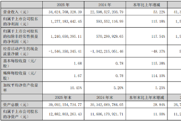 磷酸铁锂巨头净赚12亿元，大涨115%