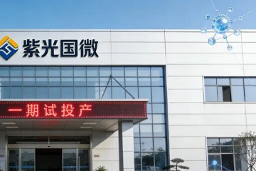 紫光国微拟19亿元全资收购瑞能半导体 加码功率半导体全产业链布局 紫光国微拟19亿元全资收购瑞能半导体 加码功率半导体全产业链布局