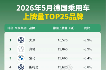 5月德国车市：中国品牌和特斯拉强势增长，smart增长140%