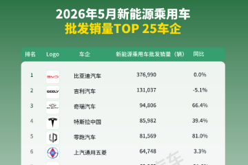5月新能源车企销量Top 25
