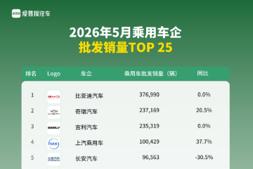5月乘用车企销量TOP 25