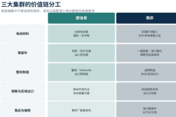 摩洛哥、南非、埃及三足鼎立:中国车企非洲布局指南 摩洛哥、南非、埃及三足鼎立:中国车企非洲布局指南
