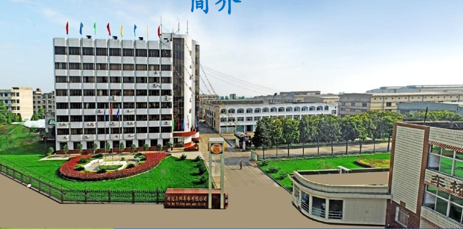 湖北三环车桥有限公司
