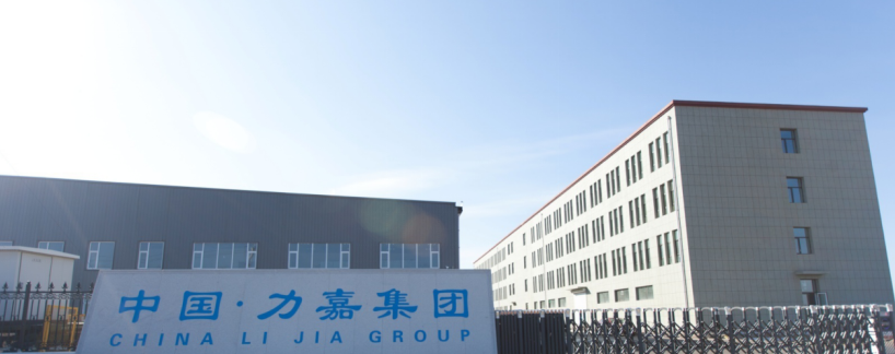 力嘉集团有限公司 力嘉集团有限公司