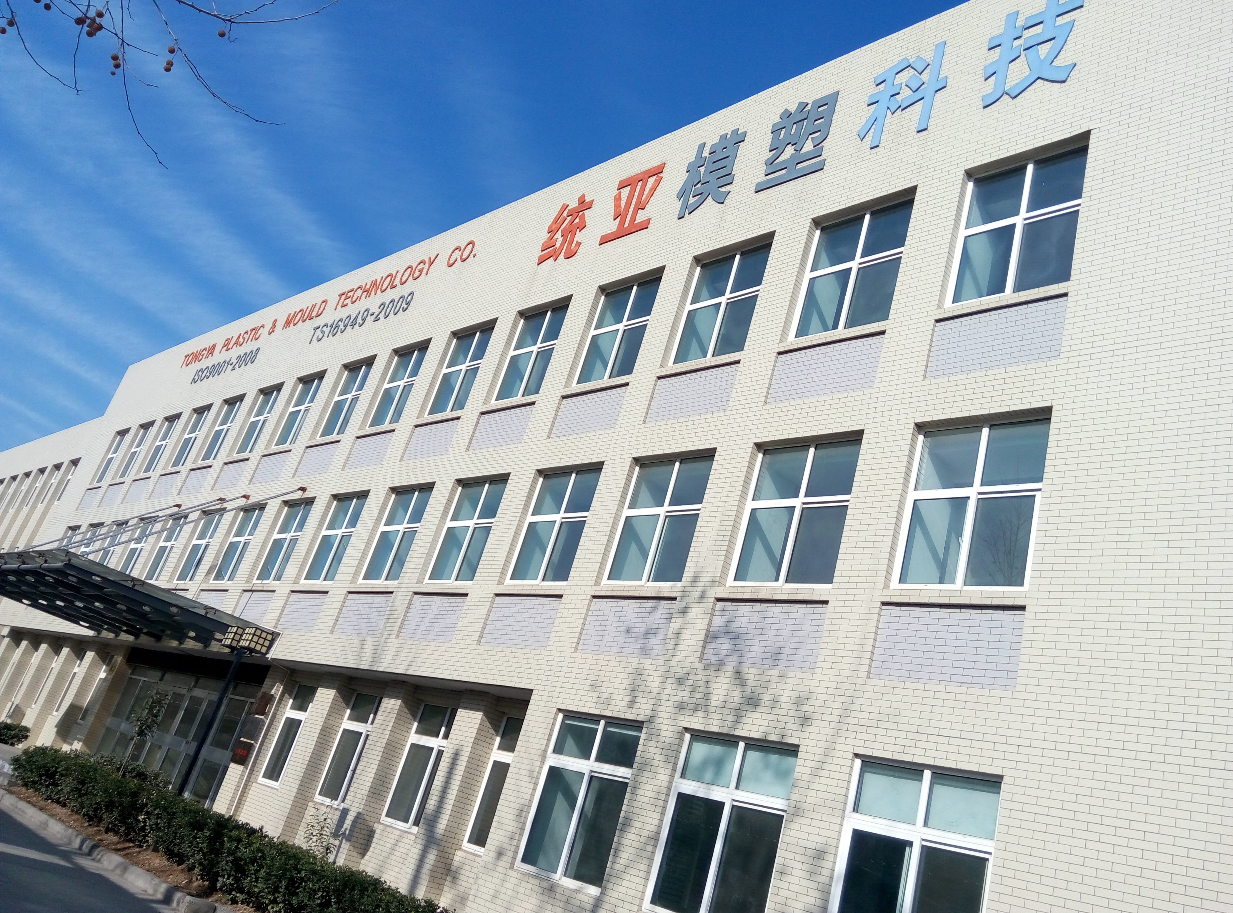 山东统亚模塑科技实业有限公司