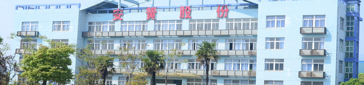 安庆安簧汽车零部件有限公司