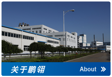 天津鹏翎集团股份有限公司 天津鹏翎集团股份有限公司