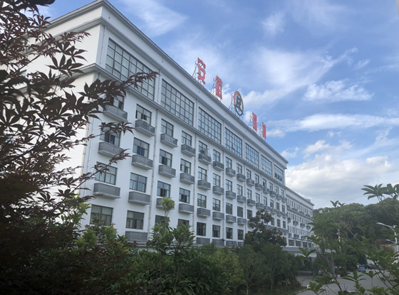 安徽瑞林精科股份有限公司