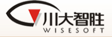 四川川大智胜软件股份有限公司