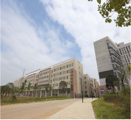 河南惠强新能源材料科技股份有限公司