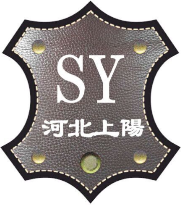 河北上阳汽车饰品有限公司