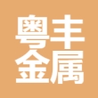 东莞市粤丰金属表面处理科技有限公司