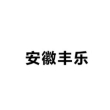 安徽盛焰金属表面处理有限公司