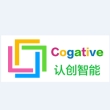 认创智能系统（深圳）有限公司