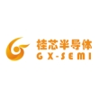 广西桂芯半导体科技有限公司