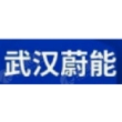 武汉蔚能电池资产有限公司