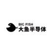 南京大鱼半导体有限公司