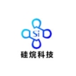 河南硅烷科技发展股份有限公司