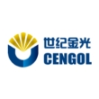 北京世纪金光半导体有限公司