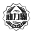 深圳中丰电动汽车科技有限公司