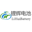 东莞市锂辉电池科技有限公司