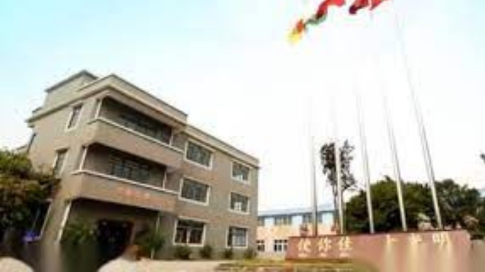 深圳市得润电子股份有限公司