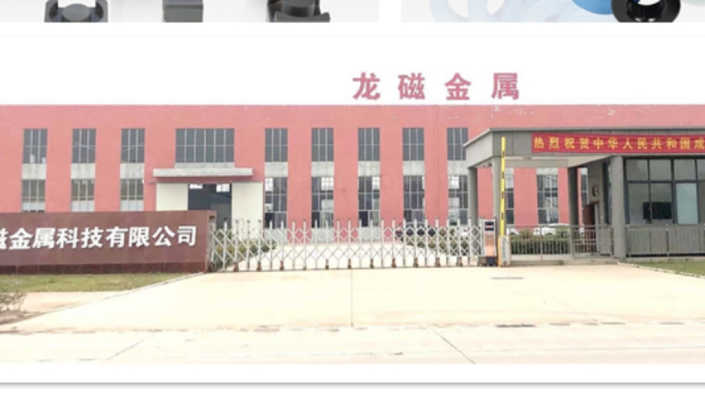 安徽龙磁科技股份有限公司