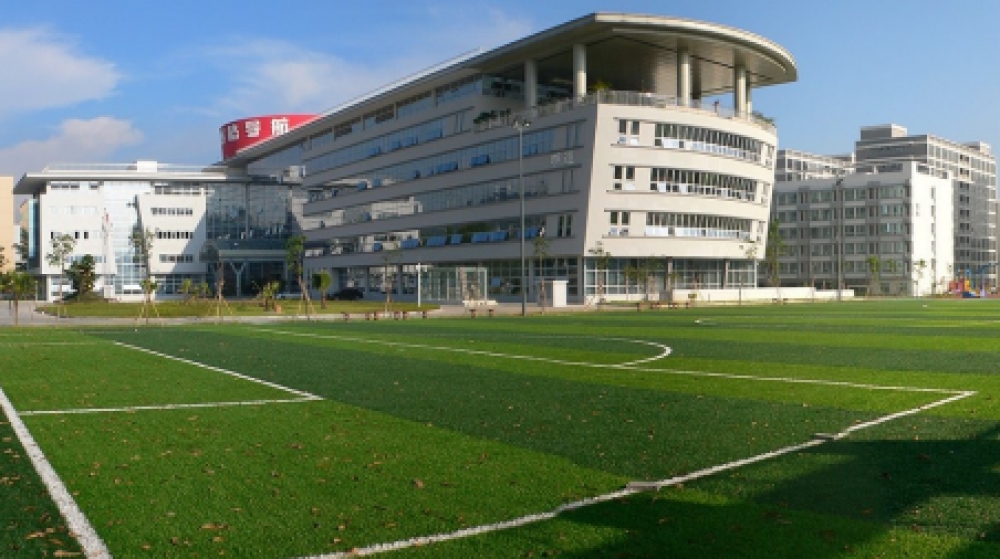 深圳市赛格导航科技股份有限公司 深圳市赛格导航科技股份有限公司