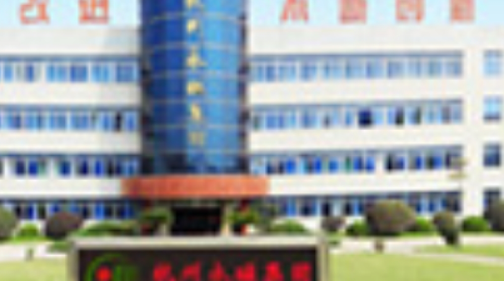 杭州永磁集团有限公司