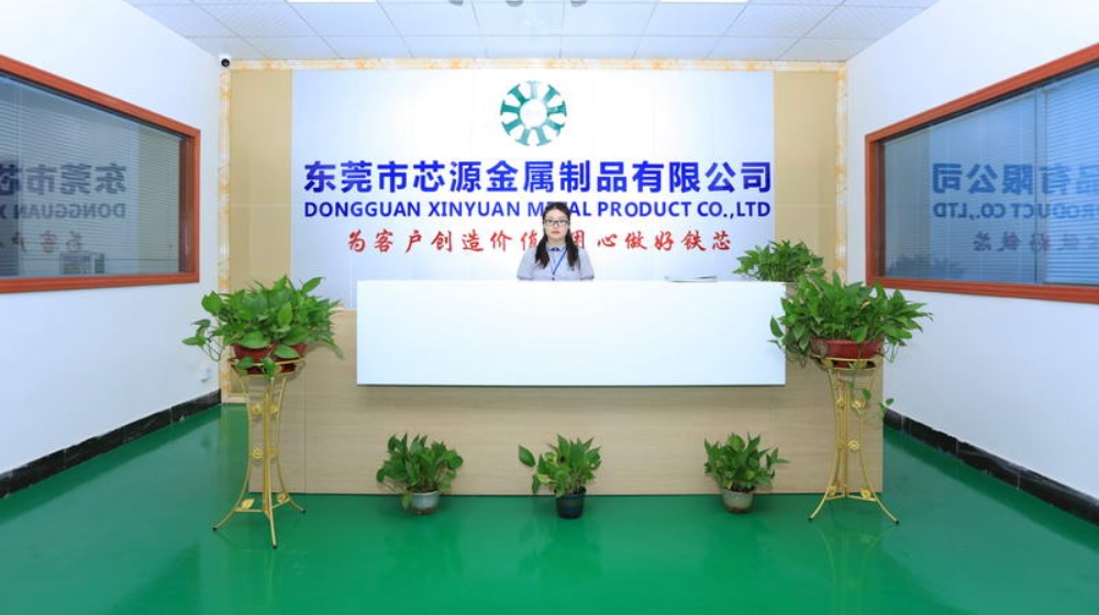 东莞市芯源金属制品有限公司