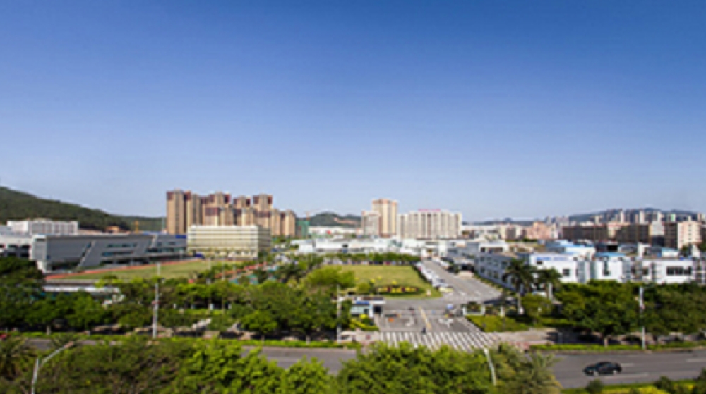 惠州市蓝微电子有限公司